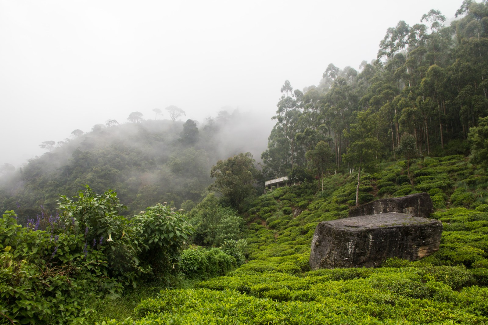 Sri Lanka destination inspiration 2